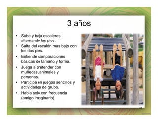 3 años
•  Sube y baja escaleras
alternando los pies.
•  Salta del escalón mas bajo con
los dos pies.
•  Entiende comparaciones
básicas de tamaño y forma.
•  Juega a pretender con
muñecas, animales y
personas.
•  Participa en juegos sencillos y
actividades de grupo.
•  Habla solo con frecuencia
(amigo imaginario).
44
 