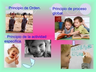 .
 Principio de Orden.         Principio de proceso
                               global.




Principio de la actividad
especifica.
 