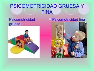 PSICOMOTRICIDAD GRUESA Y
            FINA
 Psicomotricidad    Psicomotricidad fina
  gruesa.
 