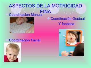 ASPECTOS DE LA MOTRICIDAD
            FINA
 Coordinación Manual
                          Coordinación Gestual
                               Y fonética



 Coordinación Facial.
 