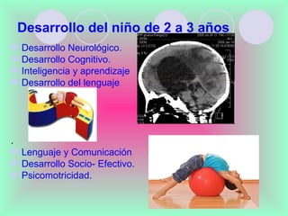 Desarrollo del niño de 2 a 3 años
   Desarrollo Neurológico.
   Desarrollo Cognitivo.
   Inteligencia y aprendizaje
   Desarrollo del lenguaje




.
 Lenguaje y Comunicación
 Desarrollo Socio- Efectivo.
 Psicomotricidad.
 