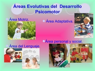 Áreas Evolutivas del Desarrollo
             Psicomotor
 Área Motriz.          Área Adaptativa.




                       Área personal y social.
 Área del Lenguaje.
 