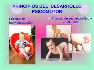 PRINCIPIOS DEL DESARROLLO
            PSICOMOTOR
 Principio de          Principio de secuencialidad y
  Individualización.              continuidad.
 