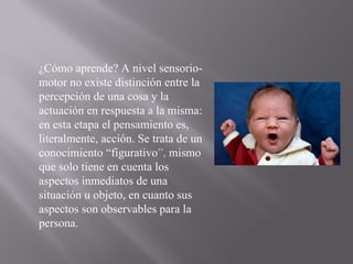 ¿Cómo aprende? A nivel sensorio-motor no existe distinción entre la percepción de una cosa y la actuación en respuesta a la misma: en esta etapa el pensamiento es, literalmente, acción. Se trata de un conocimiento “figurativo ”,  mismo que solo tiene en cuenta los aspectos inmediatos de una situación u objeto, en cuanto sus aspectos son observables para la persona. 