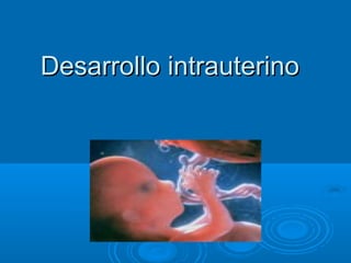 Desarrollo intrauterino

 