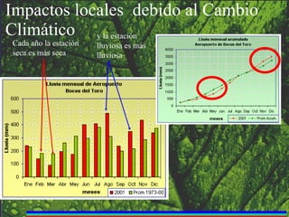Impactos locales  debido al Cambio Climático Cada año la estación seca es más seca y la estación lluviosa es más lluviosa 