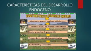 CARACTERISTICAS DEL DESARROLLO
ENDOGENO
 