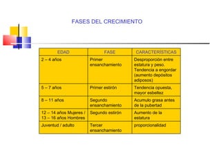 FASES DEL CRECIMIENTO EDAD FASE CARACTERÍSTICAS 2 – 4 años Primer ensanchamiento Desproporción entre estatura y peso.  Tendencia a engordar (aumento depósitos adiposos) 5 – 7 años Primer estirón Tendencia opuesta, mayor esbeltez 8 – 11 años Segundo ensanchamiento Acumulo grasa antes de la pubertad 12 – 14 años Mujeres /  13 – 16 años Hombres  Segundo estirón Aumento de la estatura Juventud / adulto Tercer ensanchamiento proporcionalidad 