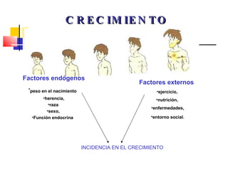 CRECIMIENTO Factores endógenos peso en el nacimiento   herencia, raza  sexo,  Función endocrina  Factores externos   ejercicio,  nutrición,  enfermedades, entorno social . INCIDENCIA EN EL CRECIMIENTO 