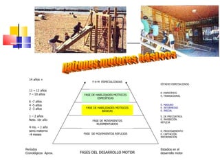 patrones motores básicos FASES DEL DESARROLLO MOTOR Períodos  Cronológicos  Aprox. Estadios en el desarrollo motor FASE  DE MOVIMIENTOS REFLEJOS FASE DE MOVIMIENTOS RUDIMENTARIOS FASE DE HABILIDADES MOTRICES BÁSICAS FASE DE HABILIDADES MOTRICES ESPECÍFICAS F H M  ESPECIALIZADAS 14 años + 11 – 13 años 7 – 10 años 6 -7 años 4 -5 años 2 -3 años 1 – 2 años Ncto. 1er año 4 ms. – 1 año seno materno -4 meses ESTADIO ESPECIALIZADO E. ESPECÍFICO E. TRANSICIONAL E. MADURO E. INTERMEDIO E. INICIAL E. DE PRECONTROL E. INHIBICIÓN  REFLEJA E. PROCESAMIENTO E. CAPTACIÓN INFORMACIÓN 