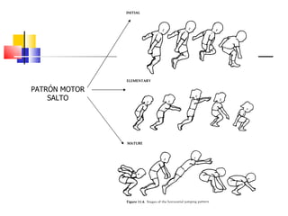 PATRÓN MOTOR SALTO 