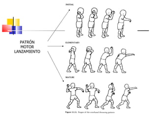 PATRÓN MOTOR LANZAMIENTO 