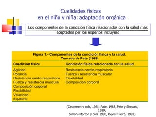 Los componentes de la condición física relacionados con la salud más aceptados por los expertos incluyen: Cualidades físicas  en el niño y niña: adaptación orgánica (Caspersen y cols, 1985; Pate, 1988; Pate y Shepard, 1989;  Simons-Morton y cols, 1990, Devís y Peiró, 1992)  Figura 1.- Componentes de la condición física y la salud.  Tomado de Pate (1988) Condición física Condición física relacionada con la salud Agilidad Potencia Resistencia cardio-respiratoria Fuerza y resistencia muscular Composición corporal Flexibilidad Velocidad Equilibrio Resistencia cardio-respiratoria Fuerza y resistencia muscular Flexibilidad Composición corporal 