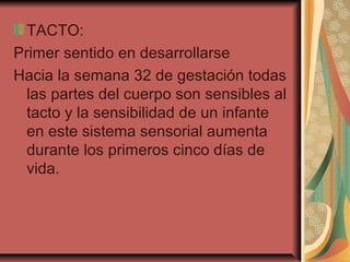 TACTO:
Primer sentido en desarrollarse
Hacia la semana 32 de gestación todas
las partes del cuerpo son sensibles al
tacto y la sensibilidad de un infante
en este sistema sensorial aumenta
durante los primeros cinco días de
vida.
 