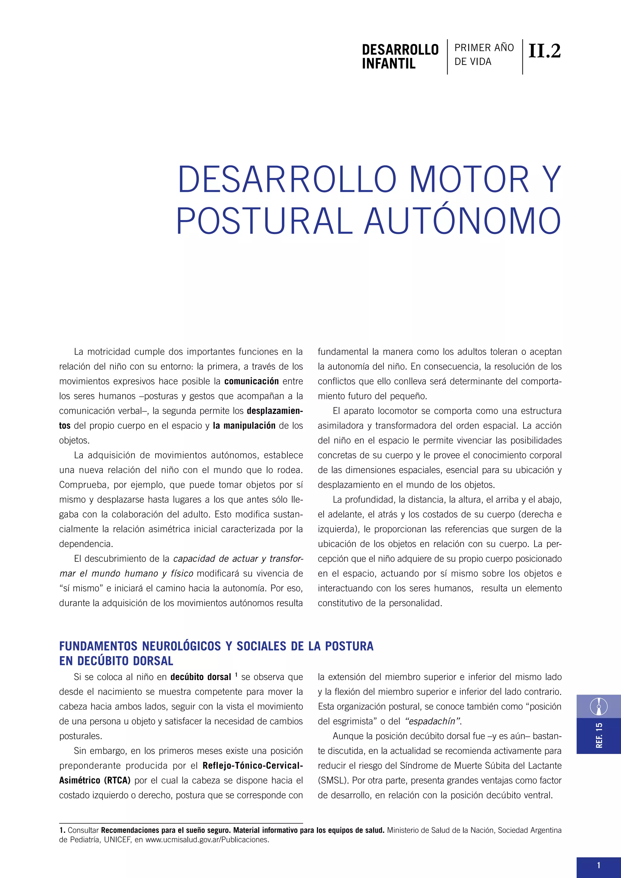 desarrollo_motor_y_postural_autonomo.pdf