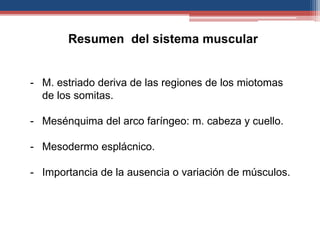 Resumen del sistema muscular 
- M. estriado deriva de las regiones de los miotomas 
de los somitas. 
- Mesénquima del arco faríngeo: m. cabeza y cuello. 
- Mesodermo esplácnico. 
- Importancia de la ausencia o variación de músculos. 
 
