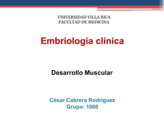 UNIVERSIDAD VILLA RICA 
FACULTAD DE MEDICINA 
Embriología clínica 
Desarrollo Muscular 
César Cabrera Rodríguez 
Grupo: 1060 
 