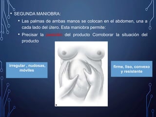 • SEGUNDA MANIOBRA:
• Las palmas de ambas manos se colocan en el abdomen, una a
cada lado del útero. Esta maniobra permite:
• Precisar la posición del producto Corroborar la situación del
producto
firme, liso, convexo
y resistente
irregular , nudosas,
móviles
 