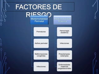 Morbimortalidad
Perinatal
Prematurez
Asfixia perinatal
Malformaciones
congénitas
Infecciones
Morbimortalidad
Materna
Hemorragia
obstétrica
Infecciones
Preeclampsia-
eclampsia
Enfermedades
maternas
pregestacionales
 