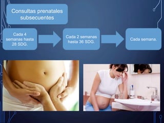 Consultas prenatales
subsecuentes
Cada 4
semanas hasta
28 SDG.
Cada 2 semanas
hasta 36 SDG.
Cada semana.
 