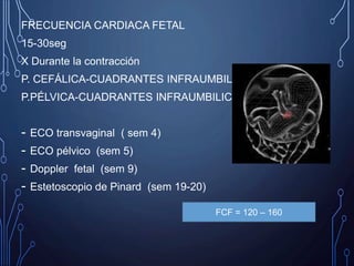 FRECUENCIA CARDIACA FETAL
15-30seg
X Durante la contracción
P. CEFÁLICA-CUADRANTES INFRAUMBILICALES
P.PÉLVICA-CUADRANTES INFRAUMBILICALES
- ECO transvaginal ( sem 4)
- ECO pélvico (sem 5)
- Doppler fetal (sem 9)
- Estetoscopio de Pinard (sem 19-20)
FCF = 120 – 160
 
