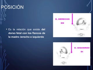 POSICIÓN
• Es la relación que existe del
dorso fetal con los flancos de
la madre derecho e izquierdo
 