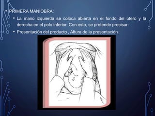 • PRIMERA MANIOBRA:
• La mano izquierda se coloca abierta en el fondo del útero y la
derecha en el polo inferior. Con esto, se pretende precisar:
• Presentación del producto , Altura de la presentación
 