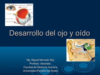 Desarrollo del ojo y oídoDesarrollo del ojo y oído
Mg. Miguel Mercado ReyMg. Miguel Mercado Rey
Profesor AsociadoProfesor Asociado
Facultad de Medicina HumanaFacultad de Medicina Humana
Universidad Peruana los AndesUniversidad Peruana los Andes
 