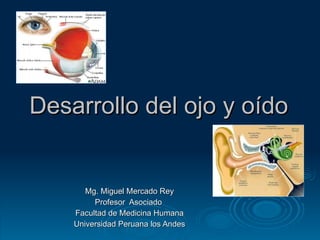 Desarrollo del ojo y oído Mg. Miguel Mercado Rey Profesor  Asociado  Facultad de Medicina Humana Universidad Peruana los Andes 