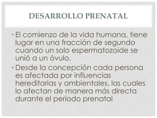 DESARROLLO PRENATAL

• El comienzo de la vida humana, tiene
  lugar en una fracción de segundo
  cuando un solo espermatoz...