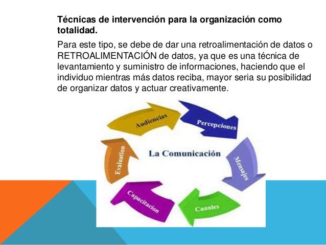 Desarrollo organizacional