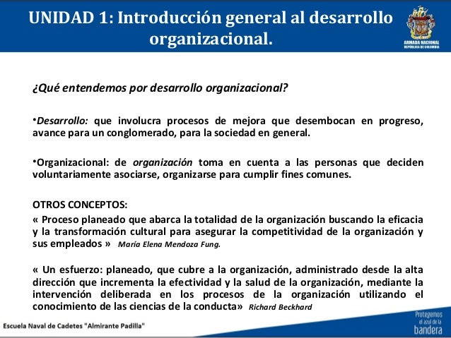 Desarrollo organizacional
