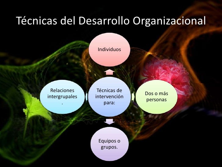 Desarrollo organizacional blog