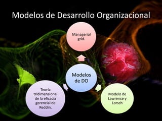 Desarrollo organizacional blog