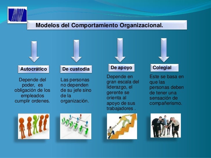 Desarrollo organizacional donaldo