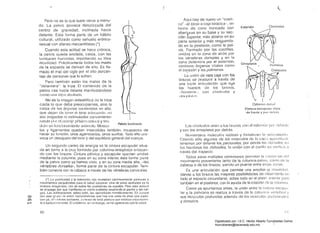 ,(
Pero no es lo que suele verse a menu­
do. La pelvis aparece desplazada del
centro de gravedad. inclinada hacia
delante. Esto forma parte de un hábilo
cultural, utilizado como señuelo erótico­
sexual con afanes mercanlilislas.(')
Cuando esta aclitud se Ilace crónica.
la pelvis queda anclada. caída. con las
lumbares hundidas, impidiendo su libre
movilidad. Prácticamente todos los males
de la espalda se derivan de ello. Es lla­
mado el mal del ~;íglo por el allo porcen­
taje de personas que lo sufren.
Pero tamhién están los males de la
"delantera": la tripa. El contenido de la
pelvis cae hacia delante manifeslándose
como IIlltl triptl <1bllllmltl.
No es la imagell anlicslélica ele la lripa
caída lo que debe preocuparnos. sino la
caída de los órganos cOl1tclIliclos t~n ella.
que dejan ele tener el tono ac!ocU<H!O. no
son irrigados ni eslimulados convenienle­
1l01lt0 pOI nllll<1!injl' f1(~lvic() 1);111" ni y t01l­
di (In lIll IUIlCk)ll~.lI11iüllILl <lI1Úlll~llo, Muscu­
los y ligamentos quedan inservibles también. incapaces de
hacer su función. unos agarrot¡:¡clos. otros sueltos. Todo ello pro­
voca un desajuste deitano y del equilibrio general elel cuerpo,
Un segundo centro de energía es la cinlura escapular situa­
cla en torno él la cruz farmacia por columna-omoplatos enlazan­
do con los brazos, Cintura pélvica y escapular quedan unidas
mediante la columna. pues en su zona infer'lor. ésta forma ¡Jalte
de la pelvis como ya hemos visto, yen su zona media alta. -las
vértebras dorsales-. forma parte de la cintura escapular. Tam­
bién conecta con la cabeza a través de las vértebras cervicales,
o
en
r-o
(') La pUblicidad y la televisión nos muestran conlinuamente posturas y
movimientos perjudiciales para la salud corporal. Una de eslflS actitudes es la
lordosis exagemda. raíz de todos los problemas de espalda, Pero estfl actitud
se propflga por que manifiesta un cierto erotismo resaltando el pecho y las nal·
gas, Lfls adolescentes, sobre lodo, las reproducen miméticflmente, En cursos
con este grupo (le er!;¡d. comprol)arnos que hay lInfl pmte (le el!as que pado­
cen ya. el" ¡Jolores IUllIbares. a Cflllsa ele Gsta postura que exhiben inconscien­
te o seelucltll anl()nle, El p.oIJlema. SlIl em1.l<llgo. se irá ¡;¡grav¡:mcfo con la ecl¿¡d,
60
~ 
~Jlj 

I .
-'>
Polvl!l tllctlllodn
hay de lluevo un "cuen­
co" -el tórax o célja lorácica-·. (~n
formél de cono truncado con
abert).Héls en su base y su sec­
ción superior. más abierto en.su
parle anterior y más resguarda­
do en la posterior, como la pel­
vis. Formado por las costillas,
unidas en la zona de atrc'ls por
las vértebras dorsales y en la
zona delantera por el eslernón,
contiene órganos vitales corno
el corazón y los pulmones.
La unión de esta caja con los
brazos se produce a través de
una Iriple articulacíón que liga
los tlueSoS eje los bmzos.
--htímerns -'. con cfAvículns y
O/lU)I";''''.';,
L<.1S cl;wículm; unon ~1 los IJlCllOS COIl el llslcII )(JI I pOI dul;1I111!
y con los omoplatos por detrás,
Numerosos músculos rodean y fortéllecen lél ;JniClllacióll.
Citando sólo alglJnOS de los fIleísculos ele 1<:1 cap,l sup,;rlicl;lI,
tenemos por delante tospeClomles, por delr¡'¡s los clorsalcs. el1
los Ilolllbros los clcltoides. 18 unión con el cuello se vel ¡Iieil il
través del trapecio.
Todas estas múlliples conexiones pernllten la I,~ccpción rIel
movimienlo proveniente tanto de la columna-pelvis. corno de 18
cabeza o de los brazos, siendo un puente entre estas ¿ollas.
Es una articulación que permite una amplisn ,la movilicl;l( J,
dando él los brazos las mayores posibilidacles clG Iríovimíento (;11
lodo el espacio circundante. sobre lodo en el plano :mlcrlor pefo
también en el posterior, con la ayuda de la rotación do la COIlH1H1¡1,
Como ya apuntamos antes. la unión entre la clntWél escapu­
lar y la pelviana se realiza a través de 18 colllln/l(J verle/)r;¡1 v
sus músculos profundos ademéis de los I11t'¡SCttlo:; éll)(lol1ll1lni(~;;
y dorsales,
h!
Claviculas
Omoplatos Humeros
Collllllla du¡ !;al
Cintura cscnptll;u vista
do Ircnlo y por dp.lr,í!;
Digitalizado por: I.S.C. Hèctor Alberto Turrubiartes Cerino
hturrubiartes@beceneslp.edu.mx
 