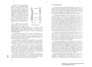 (~
(
"9. CoordinaciónAl estar formada por 2i l vérte­
bras con sus correspondientes
discos, -adernás de las 7 solda­
das que forman el sacro y el
coxis-, cada vértebra puede lener
movilidad propia independiente­
mente de las demás, aunque no
podemos considerarlas de forma
aislada, sino dentro de la cadena
que tndélS ell()s IlniclélS fO/lném. SI
misión prEJcisamenle es enG¡~(1a­
nar el movimiento. desde un
extremo a! olro, además de IréiS­
milir e! peso en la posición verti­
cal.
Las vértebras más móviles
Cervicales
Dorsales
Coxis
son las que sirven de unión con Columna vertebral
olras zonas La unión enlre
columna y cabeza: vérlebr8S cervicales 1 y 2: la unión 8nlro
cuello y espalda: 7~ vértebra cervical y 1" clorsal: 1é1 lInión
entre espalda y cinlura: 12~ vérlet)ra dorsal y 1" lumbar y por
último, la unión entre la Sil lurnl)ar y el sacro, formanuo ya
parte de la pelvis.
Tanto vérle!)r.;1S como eliseos mllnontnn do [lrnsor de <mi­
hn ~I :11l:1jo [l:lst;l Irl!; Ill!llh;)n'!~. In ljU() Il¡len (jue. 1:11110 el p('!~(1
como la energia se éJsienlen ell la bélse más gruesa y la trans­
misión se realice de manera más Iluida desde esa base, que
además corresponcie ya a lél pelvis.
La configuración anatómica y espacial de la columna.
-olJra maestra de la ingenieria arquitectónica y dinámica de la
naturaleza-. se IJasa en una ondulación [armada por cualro
curvaturas suaves, que transcurren en tomo a un verlical.
En la medida en que esas ondulaciones se deformen,
haciéndose más pronunciadas, -10 que ocurre naturalmente
segLln el sentido de sus curvélturas-. las concavidades lumbar
y cervical se harEm más cóncavas. mientras las convexicfades
dorsal y sacra. más convexas. desviando la columna del eje
de gravedad. aumentando su desequilibrio y su deficiencia
para la transmisión del peso y del movimiento.
El objetivo principal del M.O. es despertar la sensibilidad
la movilidad de cada vértebra y sus discos. pma
o
bien el movimienlo por toda la cadena íntervertebral y discal.
N'" activando el movimiento en toclas sus posibilidades.
62
Coordin;.:¡r significa lileralmente ordenar en COI m:m [~; ni
orden temporal o espacial que elos °más elementos
enlre"Si. La coorelínación es Iq relación que se establece enlre
unas zonas y otréls en el transcurso elel movimienlo. resllltilclo
ele la fluidez elel pasaíe ele la ener~Jiél. en rel;lcióll con ()I mili 
lenirnicnlo del equilibrio y eJe lél proyección elel I1lovillliclllo
Lél coordinación orgániCA es la consoClIenciil el,} Ins !,ICI()
res orq(lIlicos elol 1ll0Villliul1to, Si lIn impulso unIHn;l(!O W
crmlfo· on8r~lótiC() COll"l0 lél polvis o la cintllfé1 OSCé1plll<Jr. t¡81H:
una cierla intensielad. y nucslms élrticulé1cione~; y na'¡seulo!; 111)
esl¡.ín bloqueados o lélllos ele tono. lél cneruía prodllCidél in "lC,ll<I
rá en eliversas direcciones: hacia colUlllna y cabeza, I1<.H;iél ["¡Id·
zos y manos; hacia piernas y pies, Entre el movimienlo quc;
recorre cst8S clilerenles pClrlcs se csIDhlec() enlol!c()$ lIll(l rel,·
ciól1 Ilaluféll. orqánicél. una coorclinéll:iófl. L8 Gncrqi;'l q1l8 1,IS 11.
h;-¡ n¡¡GÍcln de 18 rnisrTl;:¡ flICllt0 en 0.1 mismo insl!1I1t[: 1·1
recorrido riel mOVilllic.lI1lo dusdn !;U 01 iqull hílSI;¡ f;ll q!llllillilCII·11
por los diversos canlino~; óseo-rnt"lsculares dnln! 111111:1 III lO:;
recorridos espé1GÍnles. Uf18 dUI <lclón. unn l Jlliclad 1()1111 )()I (11 VIVí
da sirnullÚIlGéllllcntG en punto!:) distilllos elel CSp;.1(:i() C()I
La relé:1ción y la coorclill8cÍl'lIl víem)!l dOlerrninnc!;lf, por 1I
tipluf¡ lactores: la locí:liznciól1 e1el illlpubJ. Sll illlullSld¡¡([ y ::1
c¡l!id:HI; Ins IHl(hll:H:i()nn~; dl~1 P;:;o lh! 1;1 (!lli)lqi;l: ¡d tlCl1
del recorrido: ID situación espacial de c8c1él un;=¡ cié) I;lS pdrl<::.
del cuerpo: su proyección al espacio exterior. Torio ello clclel
mina un orden, una sucesion. un encé1elenamicnto tónico. ritmi
ca y espacié11 que definen la coorcJinación.
El flujo de la cnergí<l y 18 irrmliélción elel l1lovimiento [;1
divorséls direcciones producirá sirnult8118ídacl en ullas zona~;
superposición en otréls, contraposición y contrarlllWil1lienlo el i
otras mas. El reflujo de la energía y elel movimiento con la CO!I
siguienle sucesión de la clislonsión en lélS dif8ronles 2011i.l:
anteriormente activadas vuelve a lllanilesl8r esas diferente:
relaciones y coordinaciones con una caliclac! cljsJinla. Esla
la manifestación de la coorelinación orgánicél. "t:miC<1lllentc
comprensible si ha sido sentida. viviclé1 y expcrimenlacl8
mente en uno mismo y sin ninguna duda. disfrU!élc!'l_
La coordinación natural. esponlánea. es por olra parle. (;1
resultado ele la adaptación evolutiva elel clInrpo respecto (1
gravedad y al espacio. con un componente gClótlcn y {JI!'
por el aprendizaje. donde los mec;:¡nisn~os neurolTlO
("1
1"
Digitalizado por: I.S.C. Hèctor Alberto Turrubiartes Cerino
hturrubiartes@beceneslp.edu.mx
 