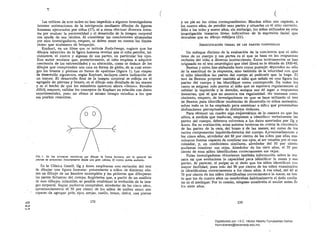 "'"

( 

Las críticas de este orden no han impedido a algunos investigadores
intentar estimaciones de la inteligencia mediante dibujos de figuras
humanas ejecutados por niños (17), ni a otros efectuar diversos inten­
tos por evaluar la personalidad y el desarrollo de la imagen corporal
con ayuda de esa técnica. Al considérar las conclusiones alcanzadas
por esos investigadores, empero, se deben tener en cuenta las limita­
ciones que acabamos dé bosquejar. , ' ,
Kephart, en un mme que se intitula Body-Image, sugiere que los
dibujos infantiles de la figura humana revelan que el niño pei:"Cibe,.ini­
cialmente, el rostro y algunas de' sus partes, en particular "los ojos.
Este autor sostiene que, posteriormente, el' niño empieza a adquirir
conciencia de las extremidades y su ubicación, como se deduce de los
dibujos que ,comprenden una cara en forma de globo, de la cual,emer­
gen los brazos y piernas en forma de '«palitos~ (figura 1). Las etapas
de desarrollo siguientes, segúo'Kephart, incluyen cierta indicación de
un tronco. El desarrollo final de l¡i imagen corporal se refleja en el
agregado de piernas y brazos, en el dibujo más detallado de las manos
y en el hecho de que los miembros aparecen ahora "llenos». Resulta
difícil, empero, validar los conceptos de Kephart en relación con datos
experimentales, pues no ofrece al mismo tiempo estudios a los que
sea posible remitirse_
"> ¿ /,
n
"
~
FIG. L En las primeras tentativas por dibujar la 'forma humana. por lo general las
piernas se proyectan directamente desda una gran cabeza. El tronco queda excluldc. '
En la Clínica Gesell, Ilg y Ames emplearon una valiación del test
de dibujar una figura humana: presentaron a niños de distintas eda­
des un dibujo de un hombre incompleto y les pidieron que dibujaran
las partes faltan tes del cuerpo. Sugirieron que, a partir de un análisis
de esos dibujos infantiles, es posible establecer la evolución de la ima­
gen corporal. Según pudieron comprobar, alrededor de los cinco años,
aproximadamente el 50 por ciento de los niños de ambos sexos son
e, capaces.de agregar pelo, ojos, orejas, cuello, brazo, dedos, una pierna
c;1 178
.~'"
( 

y un pie en los sitios correspondientes. Muchos niños son capaces, a
los cuatro años, .de percibir esas partes y situarlas en el sitio correcto.
Sólo a los ocho y nueve años, sin embargo, los niños utilizados en esta
inv~stigación trazaron lineas indicativas de la expresión facial que
deseaban que su dibujo reflejara (21)..
IDENTIFICACIÓN VERBAL DE LAS PARTES CORPORALES
Un enfoque distinto de la evaluación de la conciencia que el niño
tiene de su cuerpo y sus partes es el que se basa en las respuestas
verbales del "niño a diversas, instrucciones. Estos instrumentos se han
originado en el test neurológiCo que ideó Head en la década de 1930-40.
Benton y otros han elaborado tests cuyos puntaje.s dependen no sólo
de la exactitud de la respuesta; sino también de la velocidad con que
el niño identifica: las' partes del cuerpo al pedírsele que lo haga. El
test de Benton propone también al niño que señale en una figura las
partes del cuerpo y las identifique como corresponde. En todos los
casos .se asignan más puntos al niño que se equivoc:a regularmente al
señalar la izquierda y la derecha, aunque eso dé lugar a respuestas
inexactas, que al que no muestra esa regularidad. Ño tenemos cono­
cimiento, empero,. de investigaciones en que se haya utilizado el test
de Benton para identificar tendencias de desarrollo Pon niños normales;
sobre todo se lo ha empleado para examinar a niñcs que presentaban
disfunciones perceptuales de distintos órdenes.
Para obtener un cuadro algo esquemático de la manera en que los
niños, á medida que maduran, empiezan a identificar verbalmente las
partes del cuerpo, debemos volvemos a los datos aportados por Ilg y
Ames. En su evaltiación, estas autoras tuvieron en ct'.enta la conciencia
de las partes de la cara, del brazo y de las manos, así como de los
varios comporientes izquierda-derecha del cuerpo. A;:¡roximadamente a
los cinco años, alrededor del 80 por ciento de los n:ños que ellas exa­
minaron fueron capaces de nombrar sus ojos, al ser tocados por el exa­
minador, y, en condiciones similares, alrededor del 50 por ciento
pudieron nombrar sus cejas. Alrededor de los siete años, el 70 por
ciento de esos niños identificaban correctamente SUl> cejas.
Estas investigadoras obtuvierón también informución sobre la ma·
nera en" que evoluCiona la capacidad para identific.lr la mano y sus
partes. Al parecer, el pulgar es el dedo que los niños identifican COn
mayor facilidad, pues más del 90 por ciento de los niños examinados
lo identificaban con-ectamente a los cinco años. A esa edad, del 60 al
70 por ciento de los niños identificaban correctamenre la mano, en tan·
to que los de cuatro años no nombraban habitualmente el dedo media·
no' ni el meñique.-Por lo común, ninguno nombraba el anular antes de
los siete años.
179
Digitalizado por: I.S.C. Hèctor Alberto Turrubiartes Cerino
hturrubiartes@beceneslp.edu.mx
 