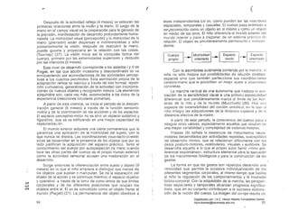 t!r
r (
Después dE la actividad refleja (4 meses) se esbozan las
primeras relaciones entre la visión y la mano. El juego de la
mano en el campo visual es la preparación para la génesis de
la prensión, manifestación de desarrollo profundamente huma­
nizada. La motri.cidad visual (percepción) y la motricidad de la
mano (prensión) están dispersas e indiferenciadas y sólo
posteriormente la visión, después de descubrir la mano,
puede guiarla y proyectarla en la relación con las cosas.
(Tournay) (27). La visión inicia así la conquista óptica del
cuerpo, primero por las extremidades superiores y después
por las inferiores (5 meses).
Este nivel de desarrollo corresponde a los estados I y " de
Piaget, en los que acción incesante y descoordinada so va
enriqueciendo por acomodaciones de las actividades percep­
tivas a los cuadros percibidos. Esta asimilación propia de la
adaptación refleja se valoriza a través de tres formas: repeti­
ción cumulativa, generalización de la actividad con incorpora­
ciones de nuevos objetos y recognición motora. Los elementos
adquiridos son, cada vez más, acomodados a los datos de la
experiencia (reacciones circulares primarias).
A partir de esta vivencia, se inicia el período de la descen­
tración general (6 meses) a través de la función sensorio­
motriz y de la coordinación de las acciQnes y de los espacios.
El espacio percE~ptivo-motor no es sino un espacio subjetivo y
figurativo, que se va edificando en una mayor capacidad de
espacializaciÓn.
El mundo exterior adquiere una cierta permanencia que le
garantiza una aplicación de la motricidad del sujeto, con la
que nunca se disocia. Las coordinaciones visuo-tacto-cinesté­
sicas se desarrollan en la presencia de los objetos que por su
lado justifican la adquisición del espacio práctico. Tanto el
conocimiento del cuerpo por autopalpación (la mano cuando
toca las otras partes del cuerpo es el propio mundo exterior)
corno la actividad sensorial acusan una maduración en el
desarrollo.
Surge entonces la diferenciación entre sujeto y objeto (9
meses) en la que el niño empieza a distinguir sus manos de
los objetos que sujetan o manipulan. Se da la separación del
objeto de la acción y se construye mientras el espacio objetivo
y operativo, a través de la toma de consciencia de sus límites
W
el
corporales y de las diferentes posiciones que ocupan los
10:) objetos entre sr. El yo es concebido corno un objeto frente al
mundo (Piaget) (21). La permanencia del objeto obedece a
leyes independientes Gel yo, como pueden ser las relacionos
espaciales, temporales y casuales. El cuerpo pasa entonces i..l
ser..reconocido como un objeto en sí mismo y como un objeto
en medio de los otros. El niño diferencia el mun'do exterior del
mundo interior y pasa a disponer de un sistema práctico dc,
relación. El objeto es simultáneamente permanente e
diente.
---- [ 1Motricidad ~ Espacio Espacio
propio
Cuerpo
~I -~l~~ie~t~.dOorientada vivido
Con la asombrosa autonomIa conferida por la marchn, ni
niño no sólo mejora sus posibilidades de relé.ciÓn cinélico­
espacial sino que también perfecciona sus coordinaciones
cerebro-mano que le posibilitan un mejor ajuste a sítuélciones
concretas.
marclla vertical es una autonomía que Iroduc0 la <l!,()­
ciación de la sensibilidad visual a una primera eSDociDlidíH.1
diferencial que ,simultáneamente marcn el IÍllllte de las fron·
teras de lo mío y de lo no-mío (Mucchielli) (20). H~ly lJllil
especie de extensibilidad del cordón umbilical, en la que (JI
integra las adquisiciones de la distancia éspacial y do lél
distancia afectiva de la madre.
A partir de éste período. la consciencia del cuerpo pasa a
integrar otros valores, especialmente aquéllos que resultan eJe
una mayor variabilidad y complejidad de sistemas motores.
Fraisse (9) 'señala la existencia de mecanismos neuro­
motores desarrollados por actividades repetidas, susceptibles
de desarrollo rítmico, que se relacionan difícilmente con los
datos postura-motores. vestibulares, vísuales y auditivos. Se
desarrolla aquello a lo que el propio autor llamó ..ritmo pre­
ferencial espontáneo», estructura elementalp~ra la ejecución
de los mecanismos fisiológicos y para la construcción de los
gestos.
La forma en que los gestos son repetidos desarrolla una
ritmicidad que permite la sucesiva individualización de los
diferentes segmentos corporales, al mismo tiempo que facilita
al niño la regulación de los comportamientos y la inversión
lúdico-corporal. Con la adquisición de la marcha. las perspec­
tivas espaciales y temporales alcanzan progresos significél­
Uvas, queen su conjunto contribuyen a la sucesiva elabora­
ción de la noción del cuerpo. La imagen del cunrpo resulta el8
94 95
Digitalizado por: I.S.C. Hèctor Alberto Turrubiartes Cerino
hturrubiartes@beceneslp.edu.mx
 