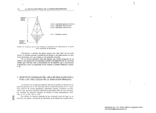 44
/"
((
LA EDUCACIÓN FíSICA EN LA EDUCACIÓN PRIMARIA
1I ..ESQUE.IA
~IOTOR
BÁSICO
a-b-d = capacidades perccplivo-molrice~
a-c-d " capacidades físico-mol rices
b-c-d .. capacid~dcs socio-molrices
b n-ll-c G hullilid,,<I~s mmrkcs
ESQUEMA
.lüTOR
ESPECiFICO
Grújit.'() '.J,' Illciclt.~{ft'id de /OS Clwtro hloflm!S dc cOflullitlo... tU Jo nmfoI'IIUli'ilS" dt' WI pall"lSIl
lIIolllr S/Isaplill/" ti/! Qpremli:ujt.
Cierlamenle la pirámide dd gráfico mueSlra una "¡dea ideal" del des;1rrollo
motriz. La realidad personal y profesional del docente y del propio proceso de ense­
ñanza-aprendizaje hace que siempre se den pirámides truncadas.
En el terreno operatÍ'o, lodo ello implica que nuestra propuesta ha de
tender a una agrupación de conCenidos evitando el protagonismo de un contenido
aislado que restrinja tanlo la formulación de los objelivos, que a continuación
realizaremos. comu la preparación de las .~csiones y unidades didácticas (capítu­
lo 5).
2. ODJETIVOS GENERALES DEL ÁREA DE EDUCACIÓN FÍSICA
PARA LOS TRES CICLOS DE LA EDUCACIÓN PRIMARIA
Q
00
O:>
La ddinición de los objetivos gener¡tks del úre¡t se establece en función de los
()bjelivos generaks dc los lres cidos que aharsa la educación primaria (6 a I~ .dios).
EslOs ohjetivos tI<:: h¡ibiIOS-aprendizajes. capacidades mOlrice, y elemenlos s()ciabili­
zadorcs, que queramos desarrollar mediante la motricidad, deben do: estar consolida­
<.los. mediantt los ohjerivos terninales. al finalizar la etapa correspondiente (ColI,
19í1tí; [l. 53. Y ColI. 19X7; p. 1(2).
Para definir lus objetivos generales de una edw;ación motriz de base. no es
suficiente con atender a taxonomías de cOl1leni,jos en los ámbitos de la aptitud física,
Digitalizado por: I.S.C. Hèctor Alberto Turrubiartes Cerino
hturrubiartes@beceneslp.edu.mx
 