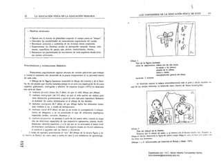 62
63
( 

LOS CONTENIDOS DE LA EDUCACiÓN FÍSICA DE BASE
LA EDUCACIÓN FÍSICA EN LA EDUCACIÓN PRIMARIA
- Objetivos termillales
• Operar COn la noción de globalidad corporal: el cuerpo como un "bloque".
• Descubrir las posibilidades de conocimiemo segmentarío del cuerpo.
• Reconoc.er simetrías y asimetrías de las diversas zonas corporales.
• 	Experimentar los dislimos niveles de percepción corporal: formas, volú­
men.es, superficies de apoyo, ejes, planos, verticalidades, límites...
• 	Reconocer las posibilidades de movimiento de cada segmento desde diver­
sos puntos articulares.
Procedimientos y orientaciones didúcticas
Presemamos s.!guidamenle algunos recursos de variadu uplicación para trabajur
y valorar el momento del desarrollo de la propiu corporulidad ~n la actividad motriz
de cada niño.
• Dibujo de la ligura humana: extensible al dibujo del enlomo y de la fami­
lia. Es una prueba que resulla compleja porque es un acto con imp!icución de diwrsos
aspecIOs: grafomolOr, inteligente y afeclivo. Al res pecIo Luquet (197:!) ha detectado
una serie de fases:
.1- realismo fOr//lilO (hasta los 3 años). en que el niño dibuja por dibujar.
2- realismo malogrado (de 4-6 años). en que el niño quiere ser realista pero
tiene obstáculos grafomolOres y quizá de otro lipa para reproducir fielmente
la realidad, Se ceutru bdsicamente en el dibujo de los detalles.
3- realismo illll:ligc'/I/e (6-7 uños), en que dibuja lodos los elementos reales.
sean visibles o no. a modo de [r;msparcncin.
4- realis/l/o ·i.wal (8-9 años), en que ya no existe la yU;l;[aposición o transpa­
rencia d.e imágenes y se va numenwdo el lipo de relaciones
espaciales (orden, sucesión. dislancia... ).
5- re,Ilisl//o pro)'t!",il'o: se produce'á p,mir de los nueve años. cuundo se
con lus relaciones espadules de tipo proyectjvo (geometría, planos. dr.sdo­
blumienlO. derecha.izquierda...). II la vez que se va acercando al tercer nivel
de relaciones euclidiamls o mélricaó del e...pacio dando así mayor coherencia
,11 conte~1O y jugando con las formas y dislancias.
A modo de ejemplo prcsen¡;¡lIlos el "les!" del dibujo de la propia figura y d<l
familia d~ Daniel. de cinco ¡lIl0S y medio de edad y con problemus de aprcndizaj~:
o
c.o
.......

'"
~
I~
~
11t!J
r/?'
Dibujo l.
Test de la ligurll humllna: 

orden de seguimiento: cabeza con las dos orejas 

el cuerpo y I¡¡s piernas 

detalles de l¡¡ cabeza
brazos y dedos
encu¡¡dr.uniemo gener¡¡1 del dibujo.
duración: 2 minutos
Al linalizár repasa la cabeza ensombreciendo más el peio y añade detalles <!n
una de lus orejas mientras va hablando enlre dientes de fonna
Dib{/jo 2. :
Tesl del dibujo de la familia:
Empieza por el dibujo del padre. y se demora con ¿I duranlc mucho (;1(0. Dcspu.:, se
dibuja ét. detds. abarcando la figura dd padre. Luego dibuja la casa y at final a la madre ctln
los otros tres hermanos. 

Dibujos I y 2: ref~renciados por Camerino .:n Bu¡san y Marin I(987). 

Digitalizado por: I.S.C. Hèctor Alberto Turrubiartes Cerino
hturrubiartes@beceneslp.edu.mx
 