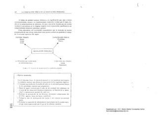 ( 
(
6X LA fíSICA EN LA EDUCACIÓN PI{lMAgIA
..
11 h:lblar de aclítutl hacernos referencia a la signifíc;lción que, más o menos
ctll1scnSUadalllcnte. darllos a las manifestaciones corporales visibles (IUC el sujelO em­
plea en su comportamiento ue reh,ciorles, Así pues, unu ue los r;¡ctores que nos ayudaa
reconocer a una persona es su IcnglwJc corporal, extra o paraverbal, manifiesto en sus
comportamientos kinésicos (posturas y gestos).
Cnrno edUC¡ldores del n;ovilllicnto cOillprob;¡mos que lu inclusi6n en nuestra
prograll1ación de este trabajo arnbivaknte cntre postura-actitud nos posibilita cllrabaj,)
ue la actll'idad c.I'p/'(!si"(J del sujeto,
CONTROL TÓNICO 

Reposo 

Acritud 

Acciün
"'~
"'r----­
I{F.(;líI.A('IÚN J'OSTljILL
,./"/
~/
.1' 1'1'11 ¡,P¡:S PI' F;I'I{ FSlt'l!'¡ 

;C IITtII)·I'( lSTIIIC 

C,PACID,DES FíSICAS
Flexibilidad
Fuerla...
~'".,
('ON'. TI'fO !lE C1f;1(I'O
t¡h'hal
St,.'gll1cl1(arlo
(;'lUi/'" ~']: F./( 1/11 ",t dc 1I11'ld,'flOil di' /(1 rcgul'/i,,'ún fl"",'IUrr11.
O!'jc{iI'os lermilla/es
I'a,;, el ~ducador físico. la cdHc,ciú" postural es fila eondicHín para mCJorar
L¡s conductas I!lotrices 'luc plantea la cOf!scn¡ci,in de In.s siguientes objetivos:
• COIISI;lIar una cvolucitÍn favorable del Iliilo el1 la activiua¡j postulal dcntro
de las aClÍvid;lde.s motriccs '-tUl' prop<lI1Cll1os.
• Buscar el ajuste correrlO para el nirio. de las posturas m;ís cotidianas, en
el curso de las situa<:iol1c,S dimíllli¡;as propuestas. en función dc la "plastí­
cid;"I" y ;II1I101'¡zaci,ín I)(1Slur;!I de cada U;lO.
• Rdorz¡¡r la percepción de los diversos elementos cOl!lponcntcs del
A.T.f'.O.: apoyns. lincas de fuerl.;I. sllp,~rlicit·s ..
In idc;r dI' ()rol()n~aei,ín del cuerpo y cid eonl:lClo I'IIIxillli(l;¡d/
kjólnia.
• Conlr;rslar la c'I.lólcidml de indepcndencia segmentaría COf! la unidad cm!'..,­
~ ral que viene rcpn:scnt;lua por el cie de la colullIna vertchal.
C-'-'
C-'-'
Digitalizado por: I.S.C. Hèctor Alberto Turrubiartes Cerino
hturrubiartes@beceneslp.edu.mx
 