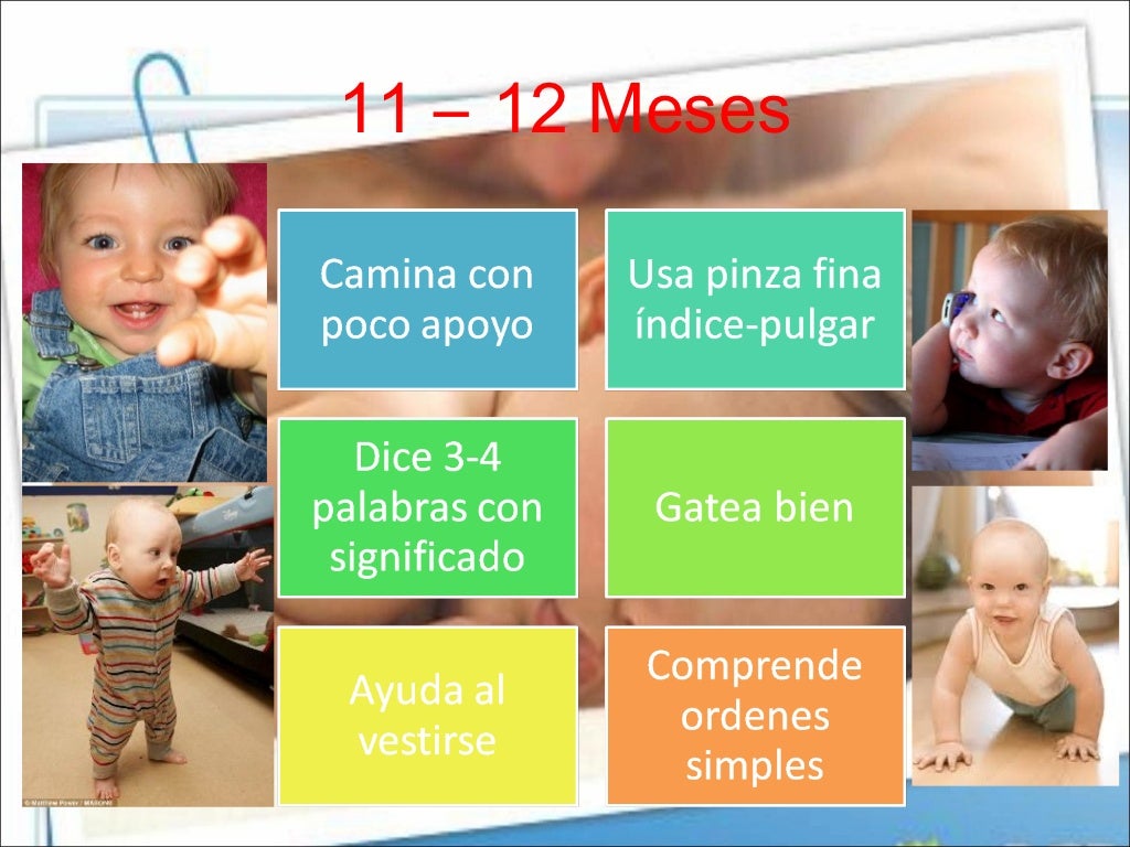 Desarrollo Psicomotor 0-12 Meses
