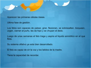 Aparecen las primeras células óseas.
Ultima fase de gestión.
Los fetos son capaces de patear, girar, flexionan, se sobresaltan, bizquean,
urgen, cierran el puño, les da hipo y se chupan el dedo.
Luego de unas semanas el feto traga y aspira el liquido amniótico en el que
flota.
Su sistema olfativo ya esta bien desarrollado.
El feto es capaz de oír la voz y los latidos de la madre.
Tiene la capacidad de recordar.
 