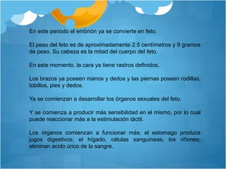 En este periodo el embrión ya se convierte en feto.
El peso del feto es de aproximadamente 2.5 centímetros y 9 gramos
de peso. Su cabeza es la mitad del cuerpo del feto.
En este momento, la cara ya tiene rastros definidos.
Los brazos ya poseen manos y dedos y las piernas poseen rodillas,
tobillos, pies y dedos.
Ya se comienzan a desarrollar los órganos sexuales del feto.
Y se comienza a producir más sensibilidad en el mismo, por lo cual
puede reaccionar más a la estimulación táctil.
Los órganos comienzan a funcionar más; el estomago produce
jugos digestivos; el hígado, células sanguíneas, los riñones;
eliminan acido úrico de la sangre.
 