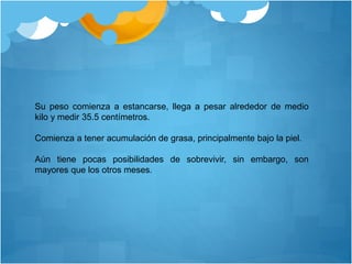 Su peso comienza a estancarse, llega a pesar alrededor de medio
kilo y medir 35.5 centímetros.
Comienza a tener acumulación de grasa, principalmente bajo la piel.
Aún tiene pocas posibilidades de sobrevivir, sin embargo, son
mayores que los otros meses.
 
