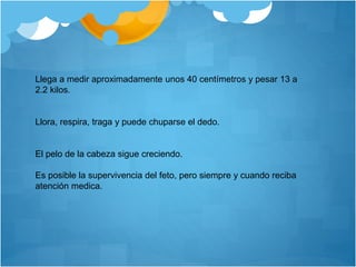 Llega a medir aproximadamente unos 40 centímetros y pesar 13 a
2.2 kilos.
Llora, respira, traga y puede chuparse el dedo.
El pelo de la cabeza sigue creciendo.
Es posible la supervivencia del feto, pero siempre y cuando reciba
atención medica.
 