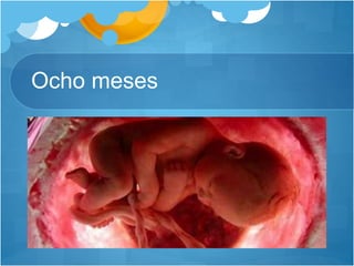Ocho meses
 