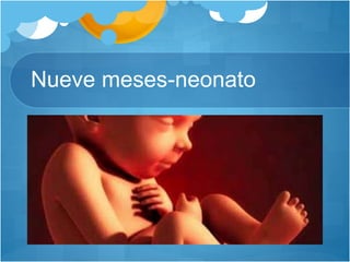 Nueve meses-neonato
 
