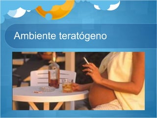 Ambiente teratógeno
 